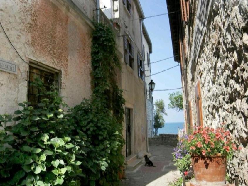 Apartment Martin - 10 Mt To The Beach Rovinj Extérieur photo
